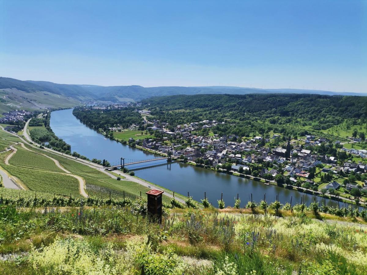 Sonnenufer Apartment & Moselwein I Bernkastel-Kues Exteriör bild